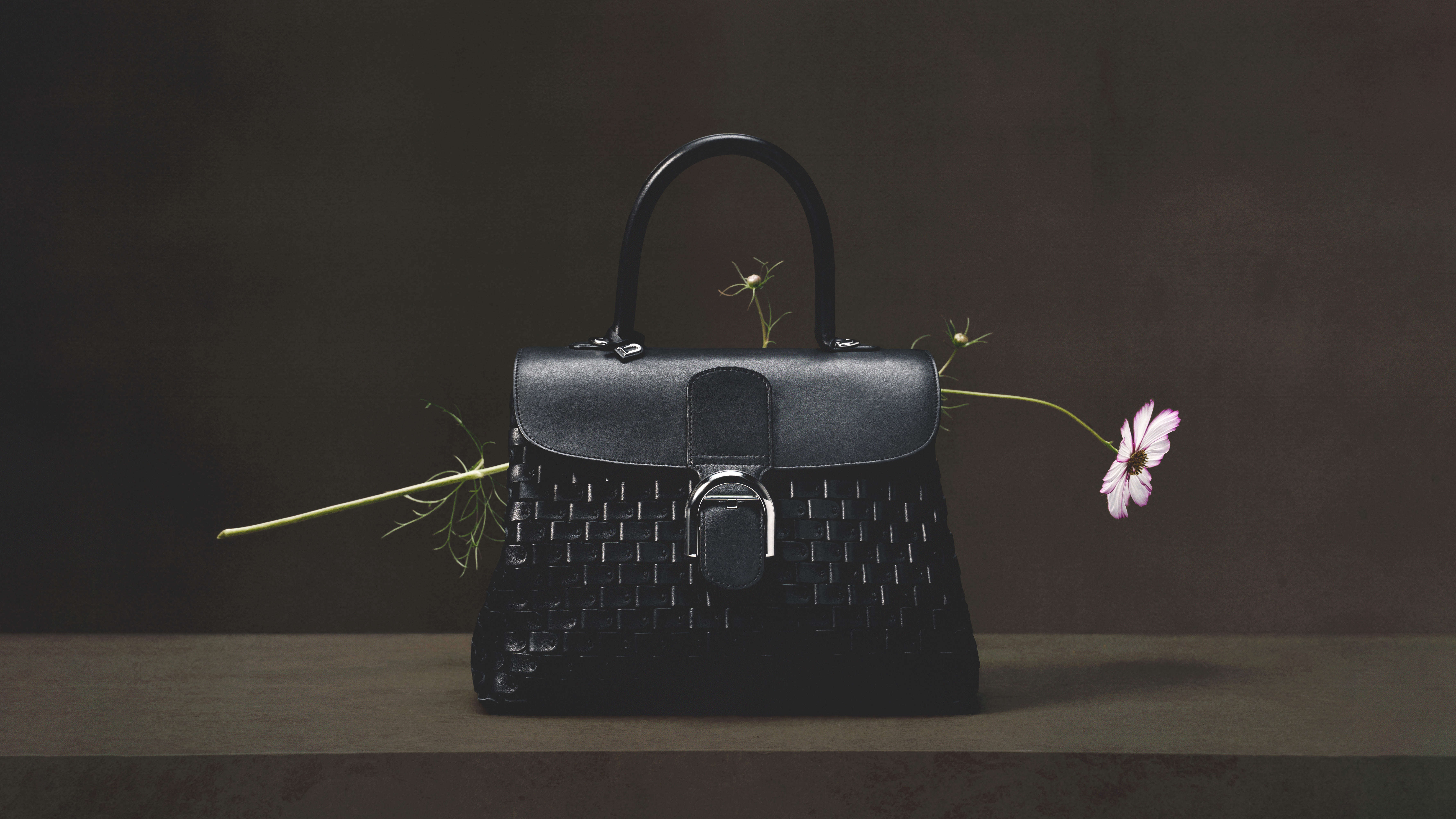DELVAUX AW26 WILD BLOOM LENNERT MADOU 16 X9 BRILLANT ARSENAL BLACK 021 1