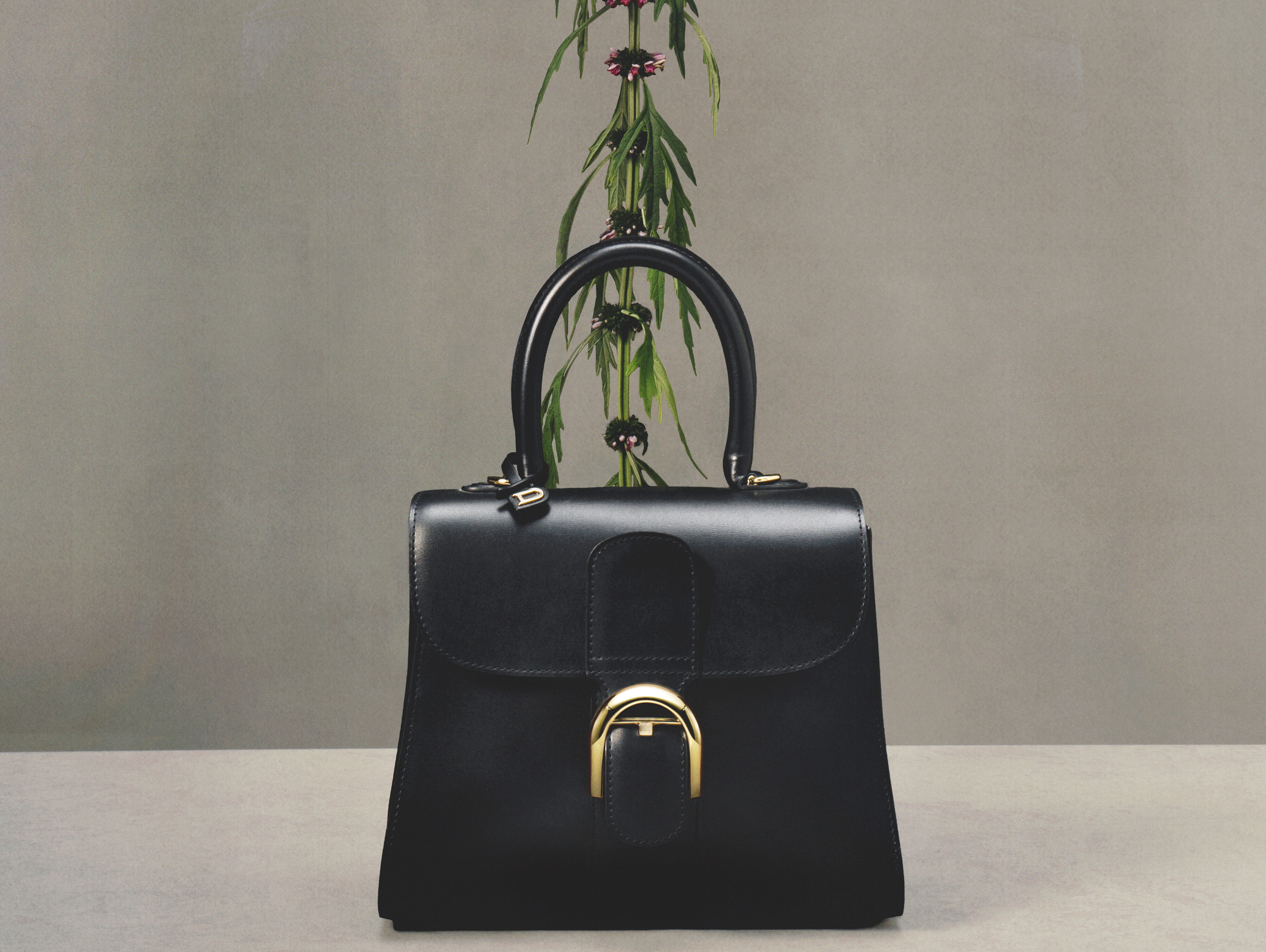 DELVAUX AW26 WILD BLOOM LENNERT MADOU 4 X5 BRILLANT BLACK 01 1